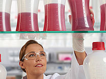 Aids for various laboratory uses &ndash; in the extensive product range from VITLAB, you will always find the suitable vessel.