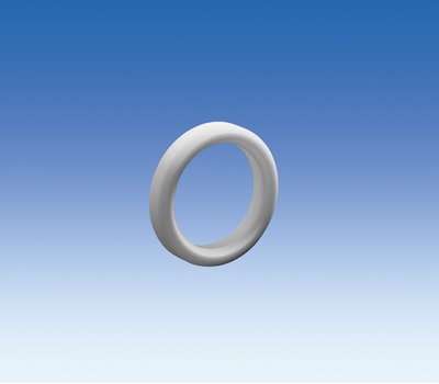 Dichtring für Ventilblock für VITLAB® Dispenser